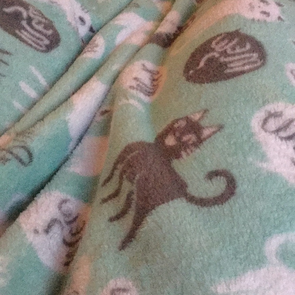 Cute cat blanket teal soft very comfortable